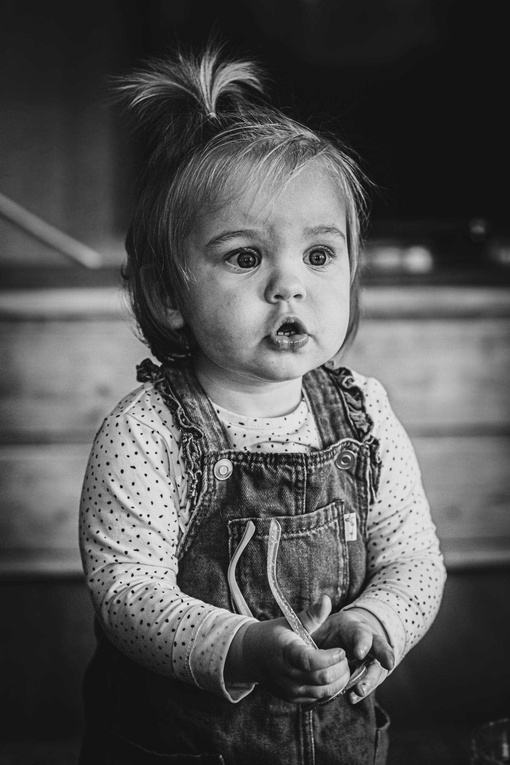 Dve Creative Photo | Fotograaf